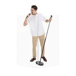 Pennzoni Singer Shield Panels, Sound Control 2 Clear Acrylic. Fixed Price $282.95.